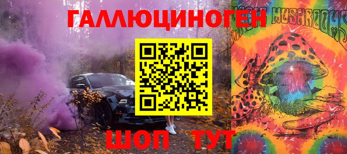 Псилоцибиновые грибы Cubensis Димитровград