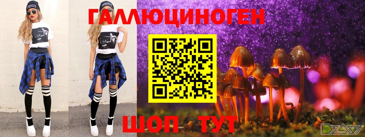 купить  цена  Вход с VPN  Димитровград  Галлюциногенные грибы Magic Shrooms 